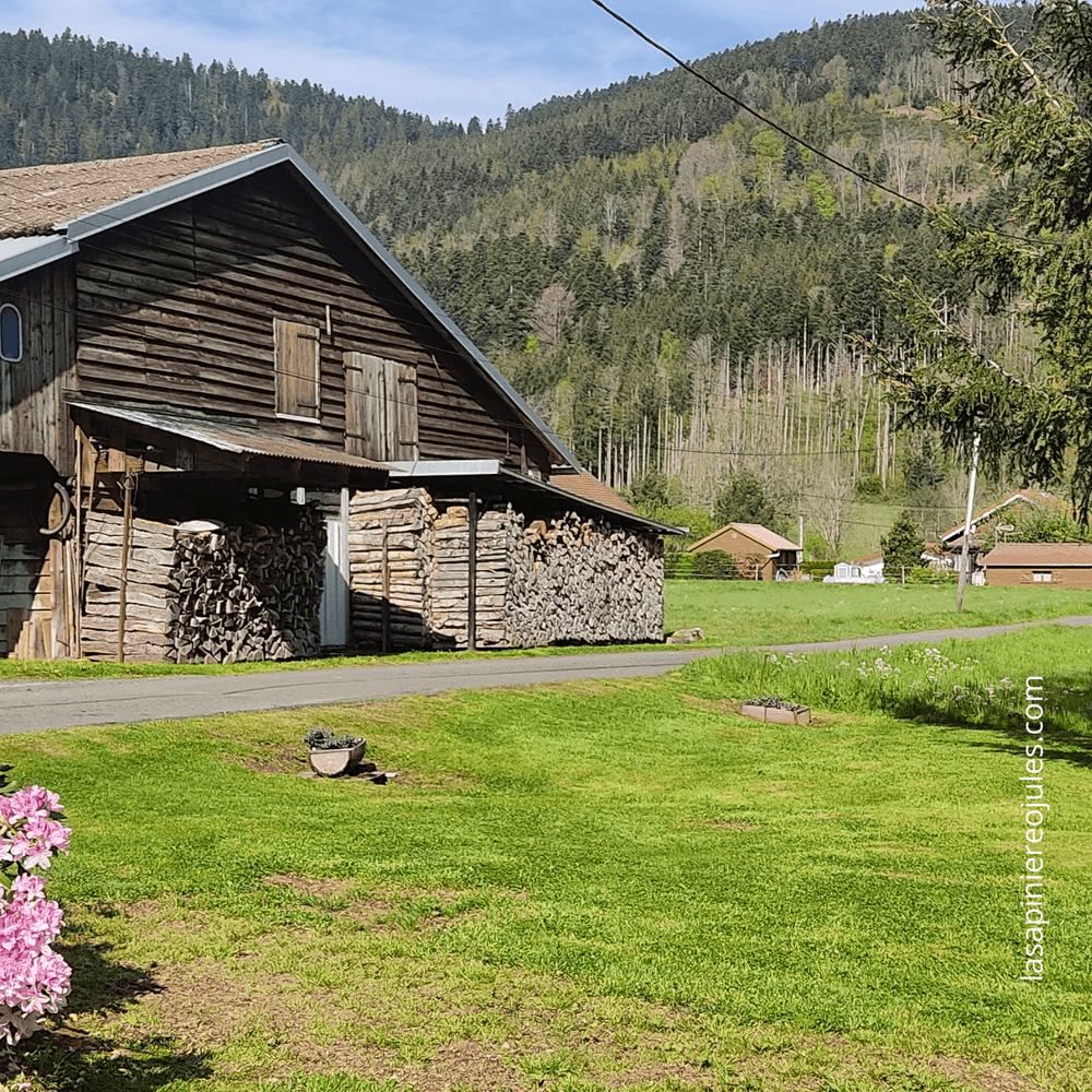 Carte de vœux carrée nouvel an géométrique colorée (11).png
