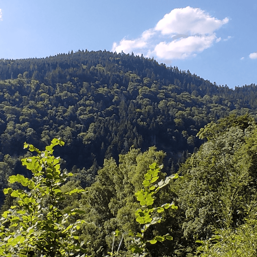 Carte de vœux carrée nouvel an géométrique colorée (81).png