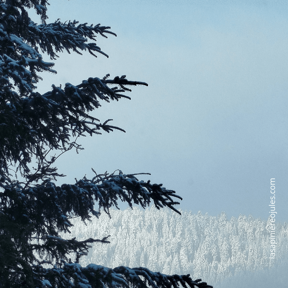 Carte de vœux carrée nouvel an géométrique colorée (8).png