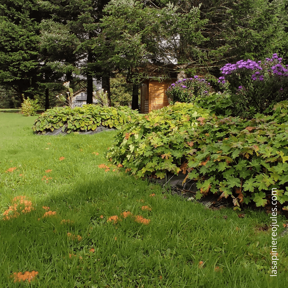 Carte de vœux carrée nouvel an géométrique colorée (40).png