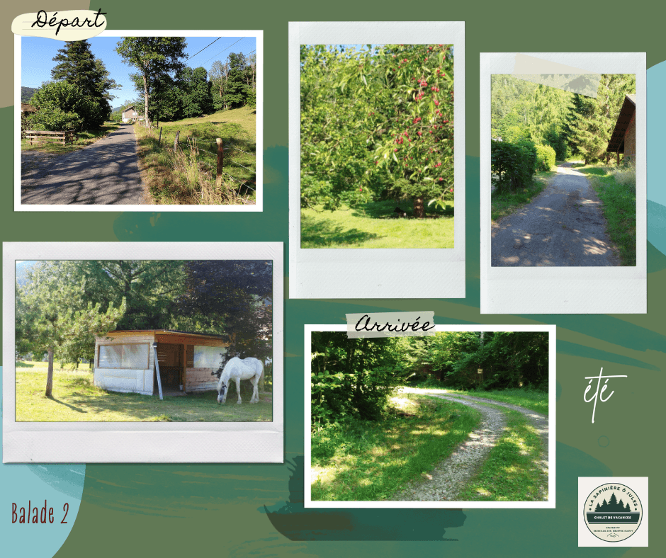 vert bleu beige scrapbook voyage nature souvenir pèle mèle Post Facebook (4).png