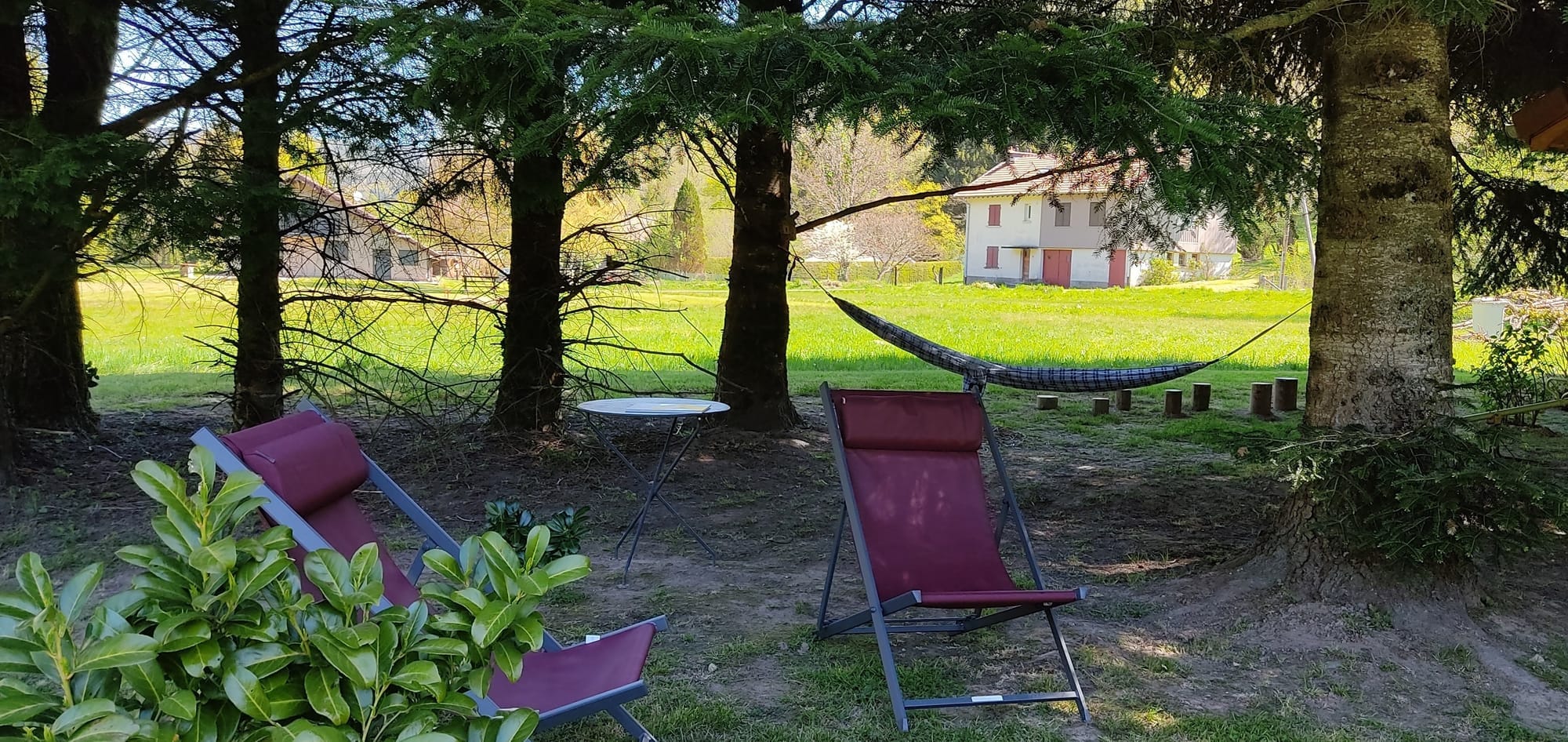 1777144819985 (1).jpg