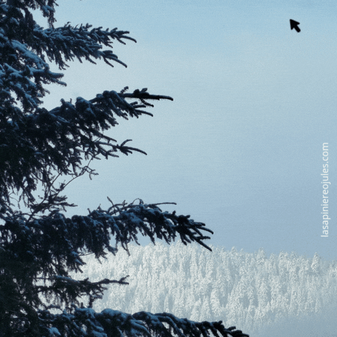 Carte de vœux carrée nouvel an géométrique colorée (4).gif