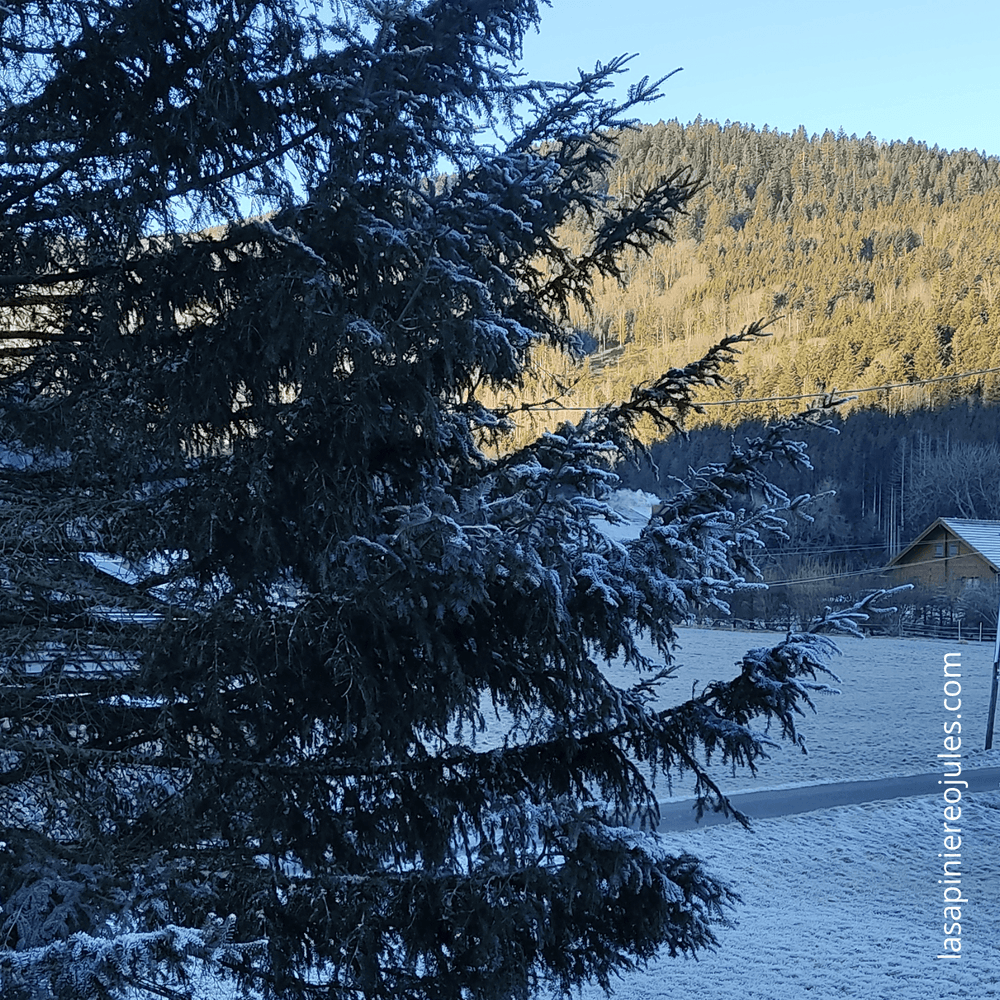 Carte de vœux carrée nouvel an géométrique colorée (43).png