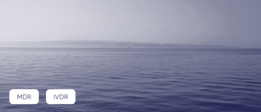 Template - Article - Banière Site web_12.png