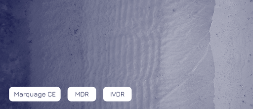 Template - Article - Banière Site web_20.png