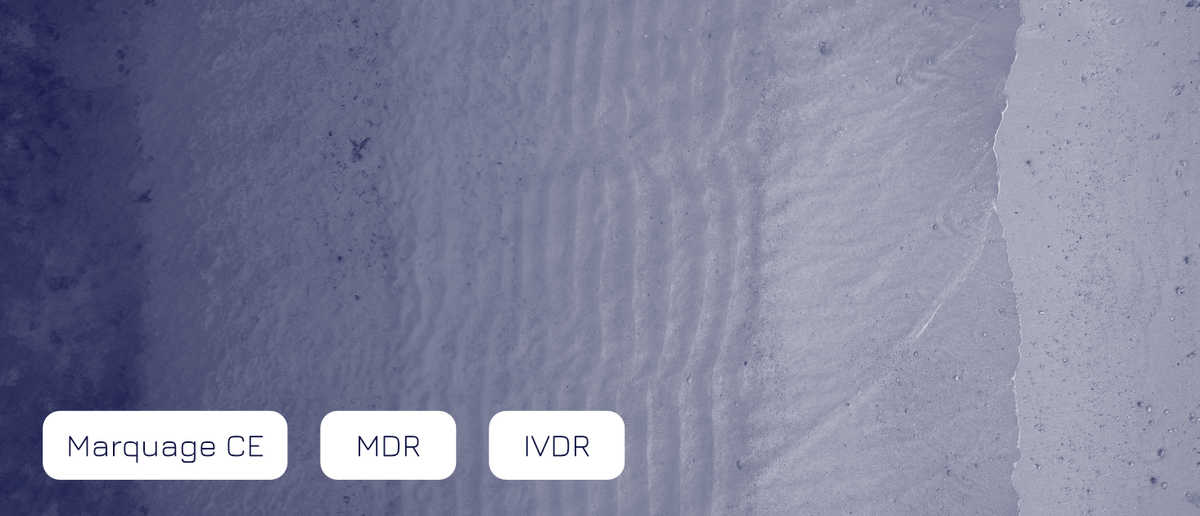 Template - Article - Banière Site web_20.png