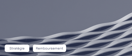 Template - Article - Banière Site web_2.png