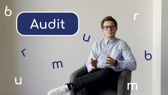Miniature Audit.jpg