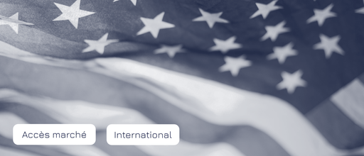 Template - Article - Banière Site web.png