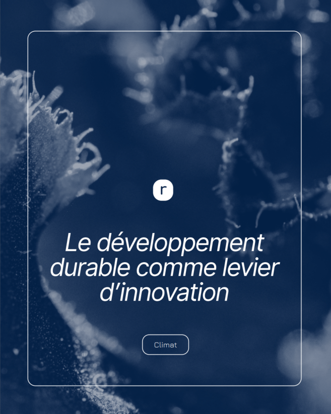 Capture d'écran 2025-12-19 184935.png