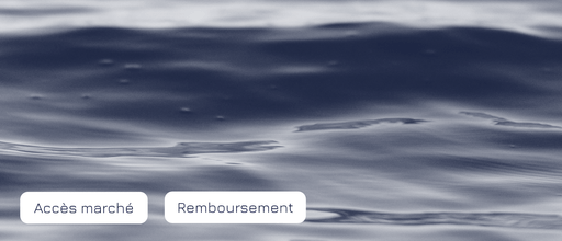 Template - Article - Banière Site web_33.png