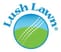 lush lawn img.jpeg