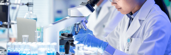 Your paragraph text (76).png