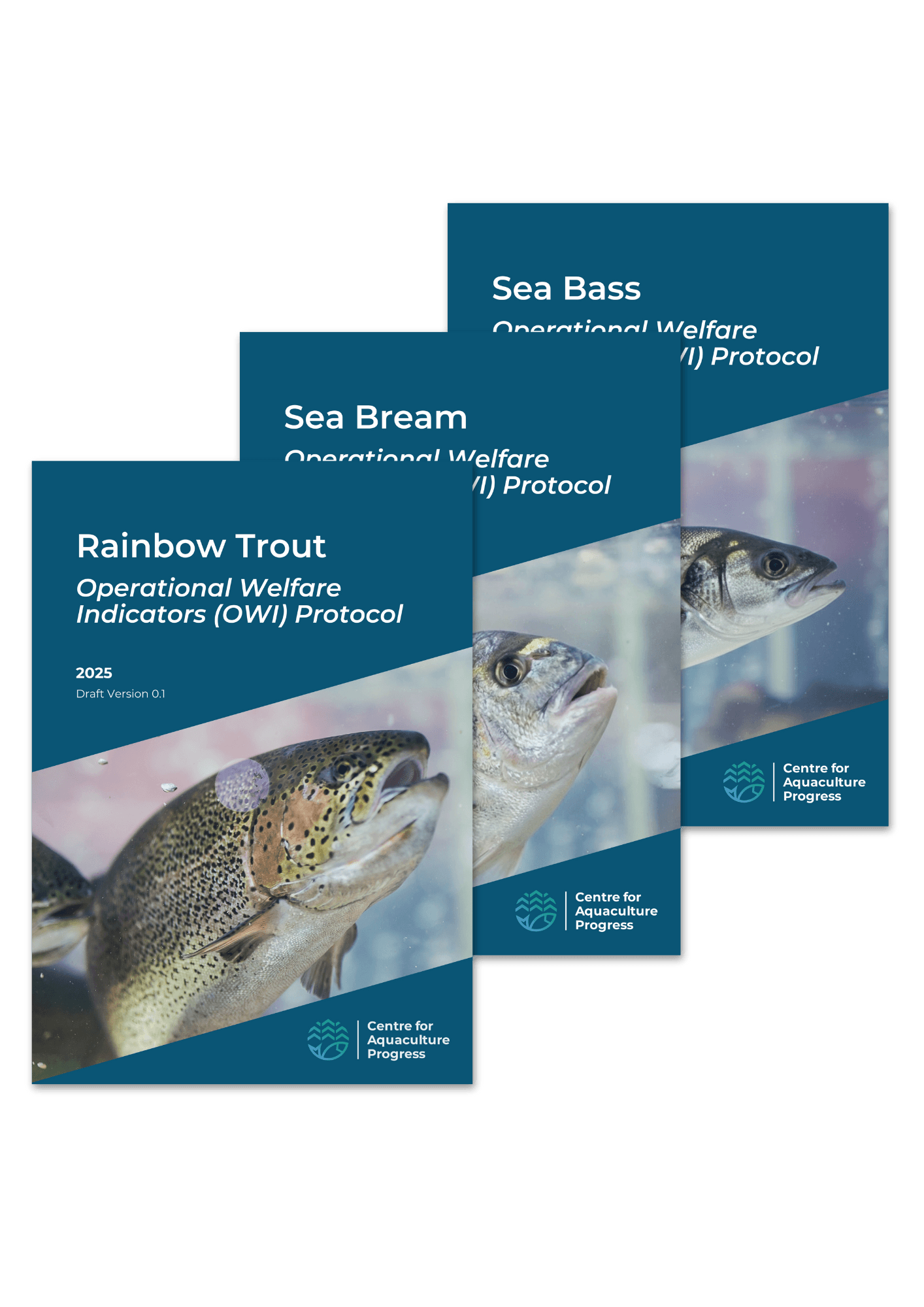 Untitled design (3).png