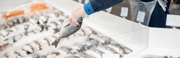 Your paragraph text (77).png