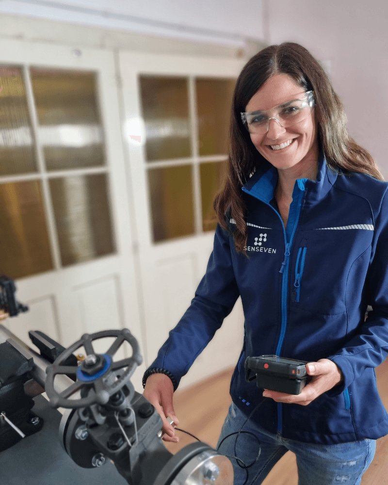 Custom Inspection Solutions – Senseven