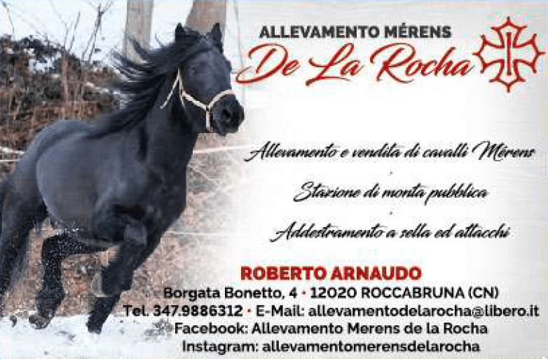 Screenshot 2025-11-29 alle 15.43.11.png