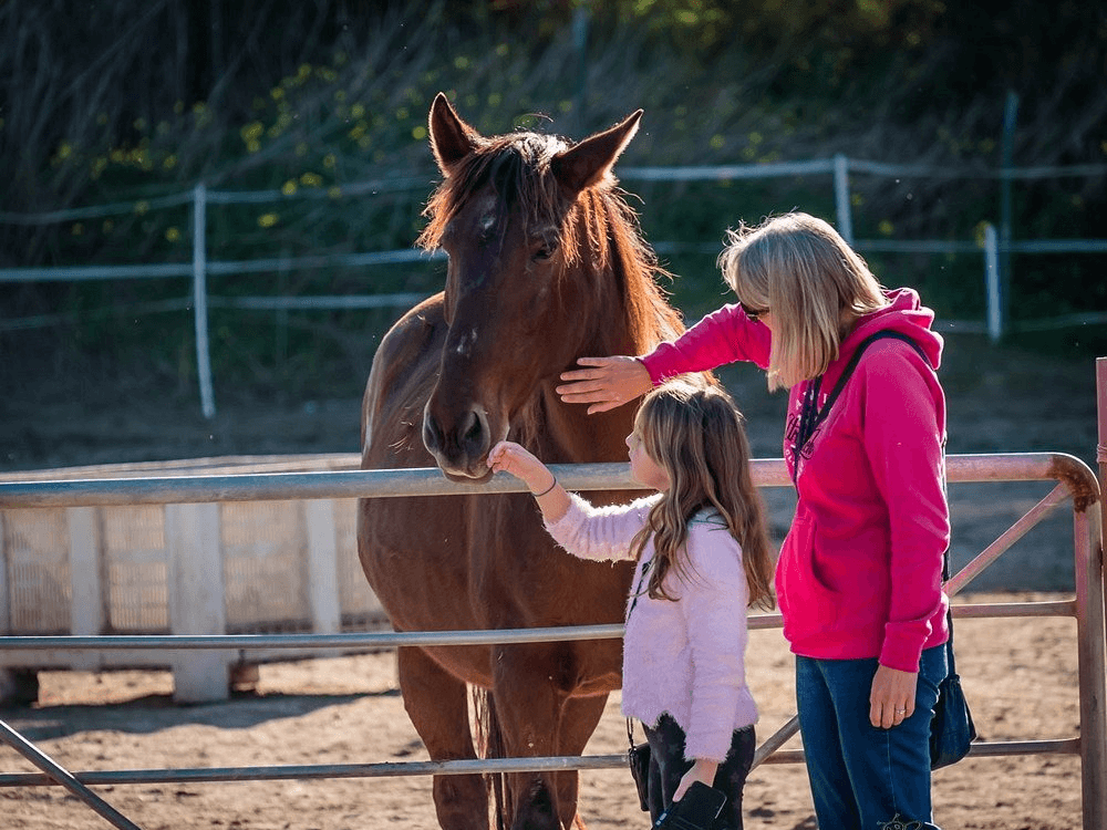 Untitled design (67).png