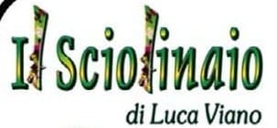 WhatsApp Image 2025-11-03 at 21.46.35 (1).jpeg