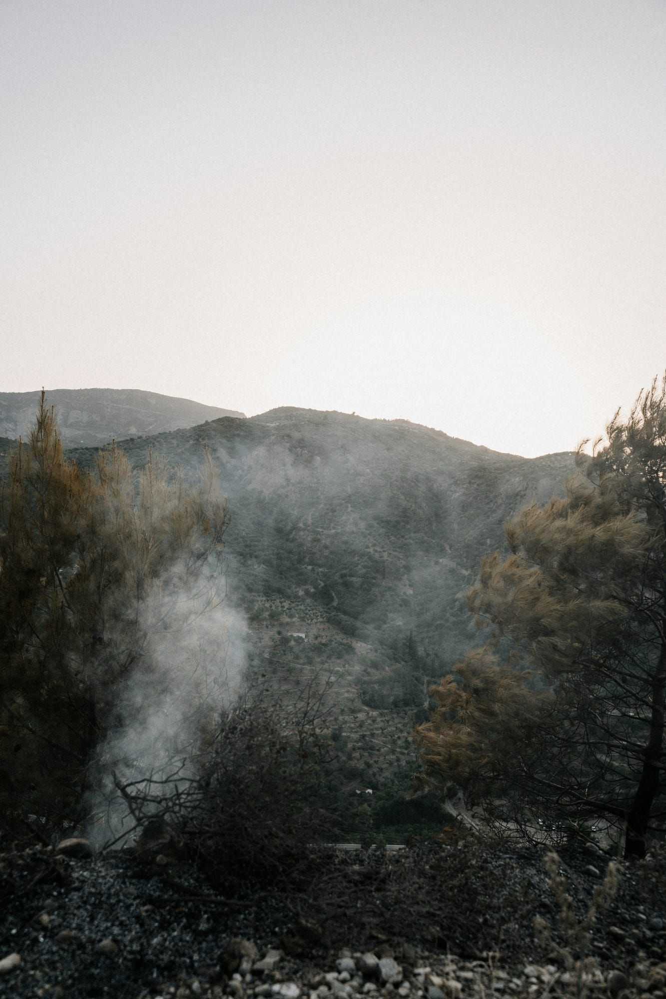 Smoke floating amidst a landscape