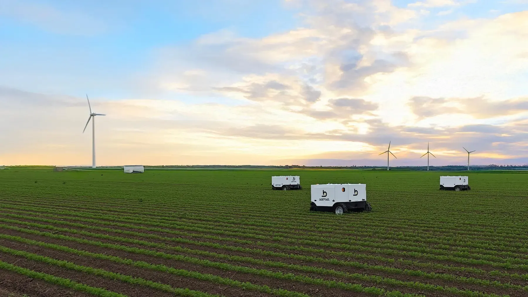 Odd Bot Maverick Weader.webp