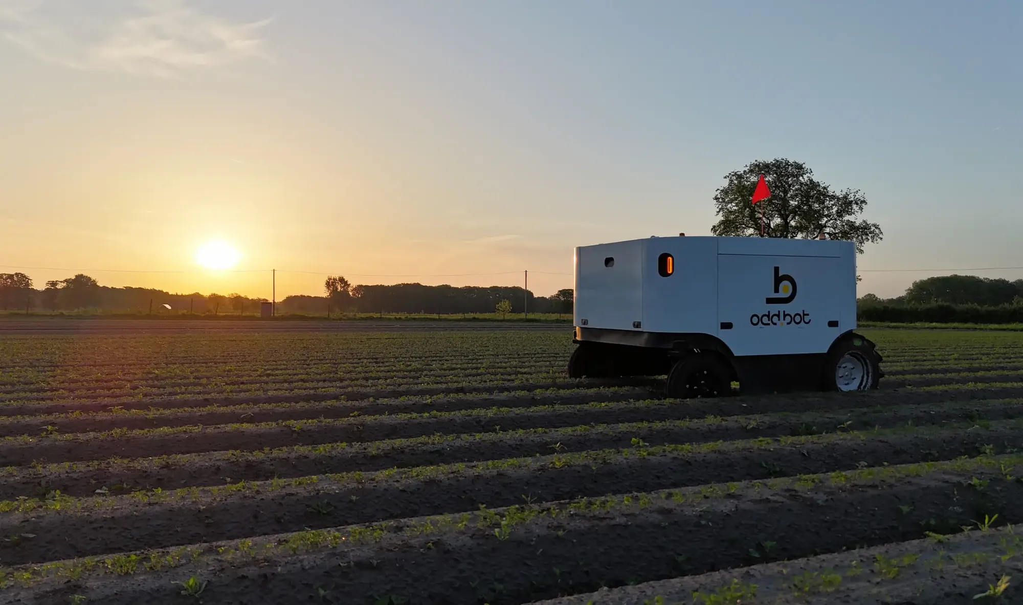 Odd.Bot Maverick weeding 24/7