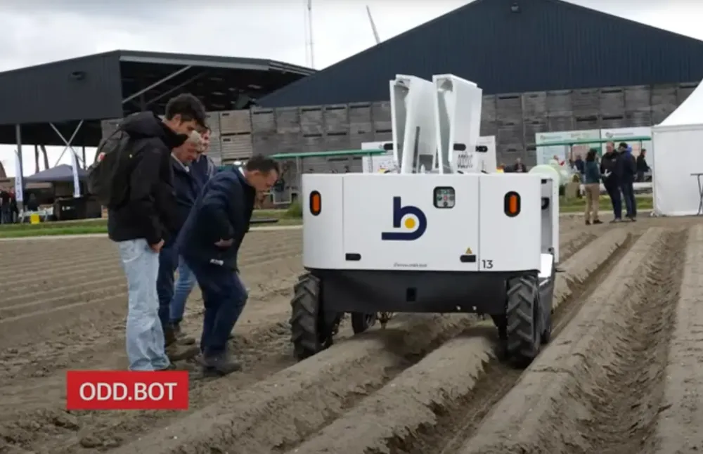 Image from Squoosh (2).webp