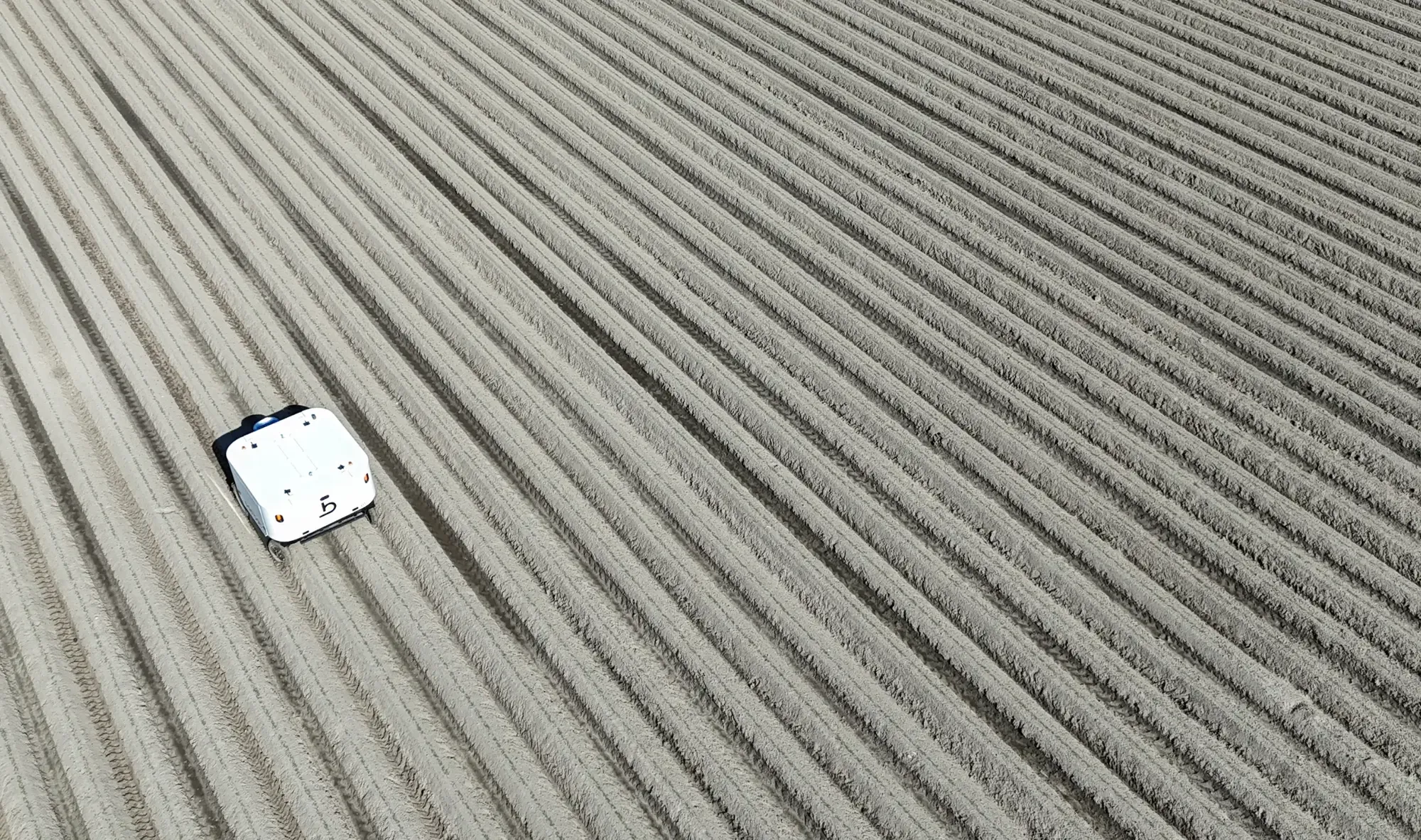 Odd Bot Maverick.webp