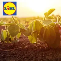 Lidl Startup Award.webp