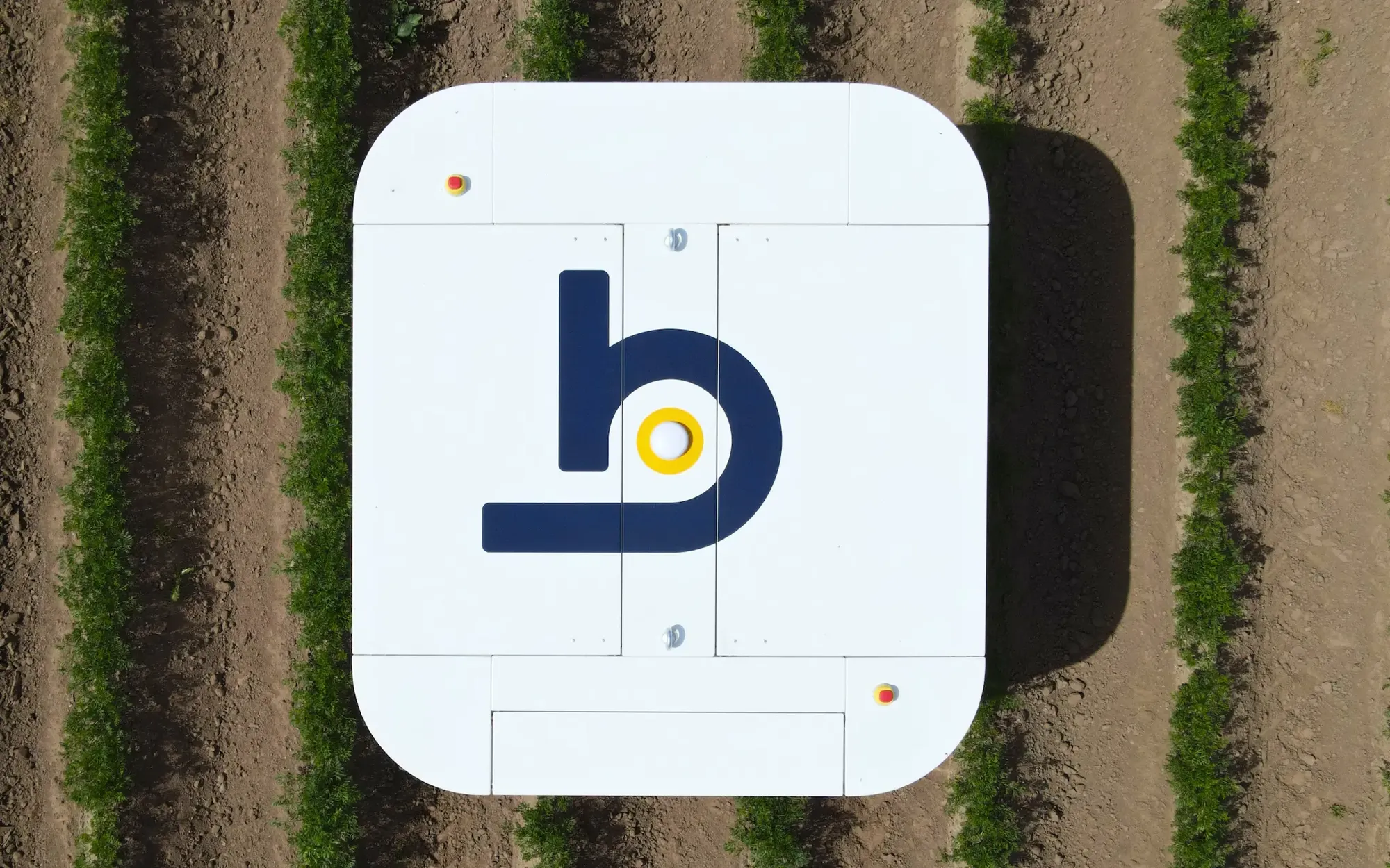 Odd Bot Hover 2400x1500.webp