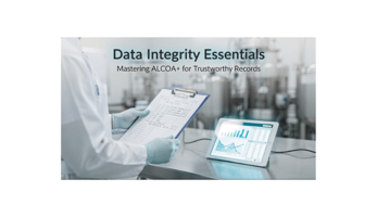 Data integrity-vignette.png
