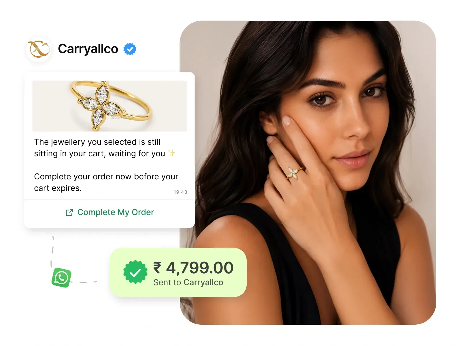 carryallco-aisensy.webp