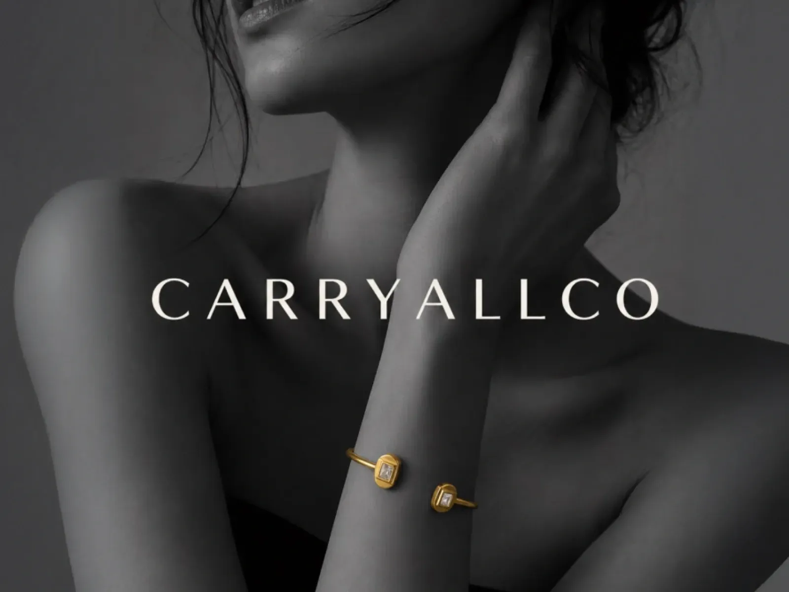 about-carryallco.webp