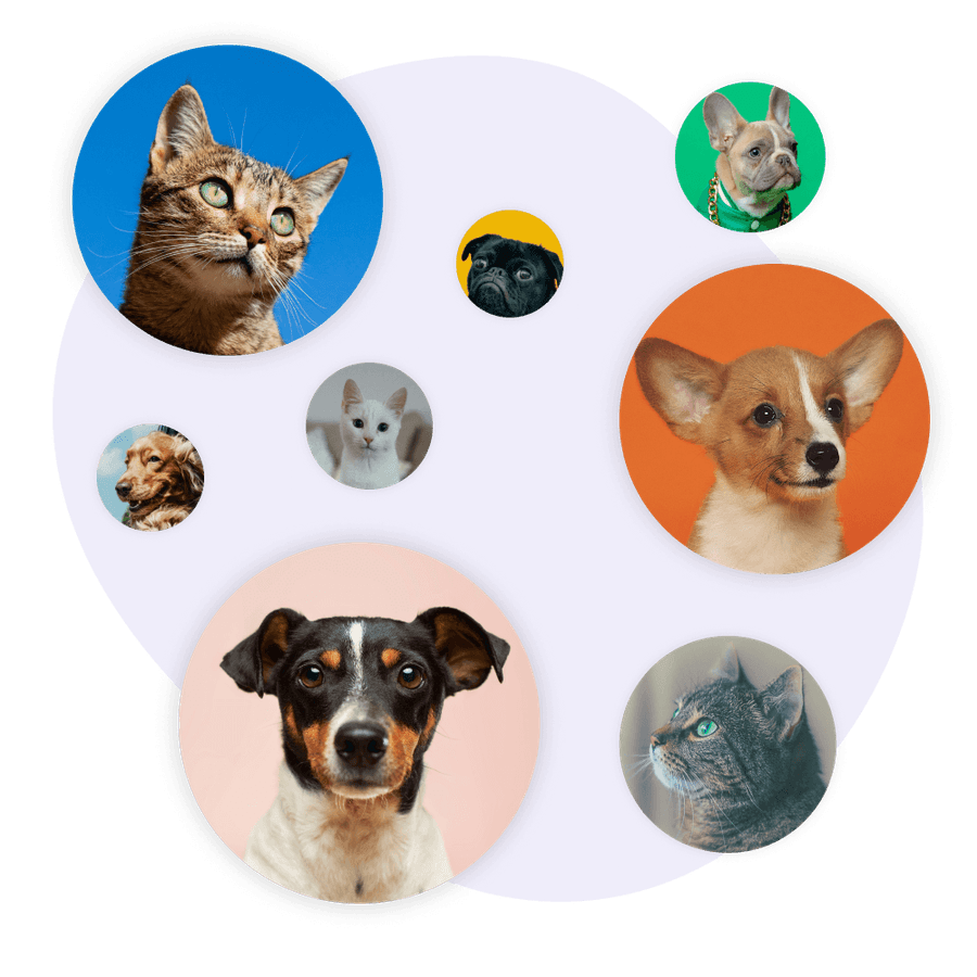 Custom Training Plans.png