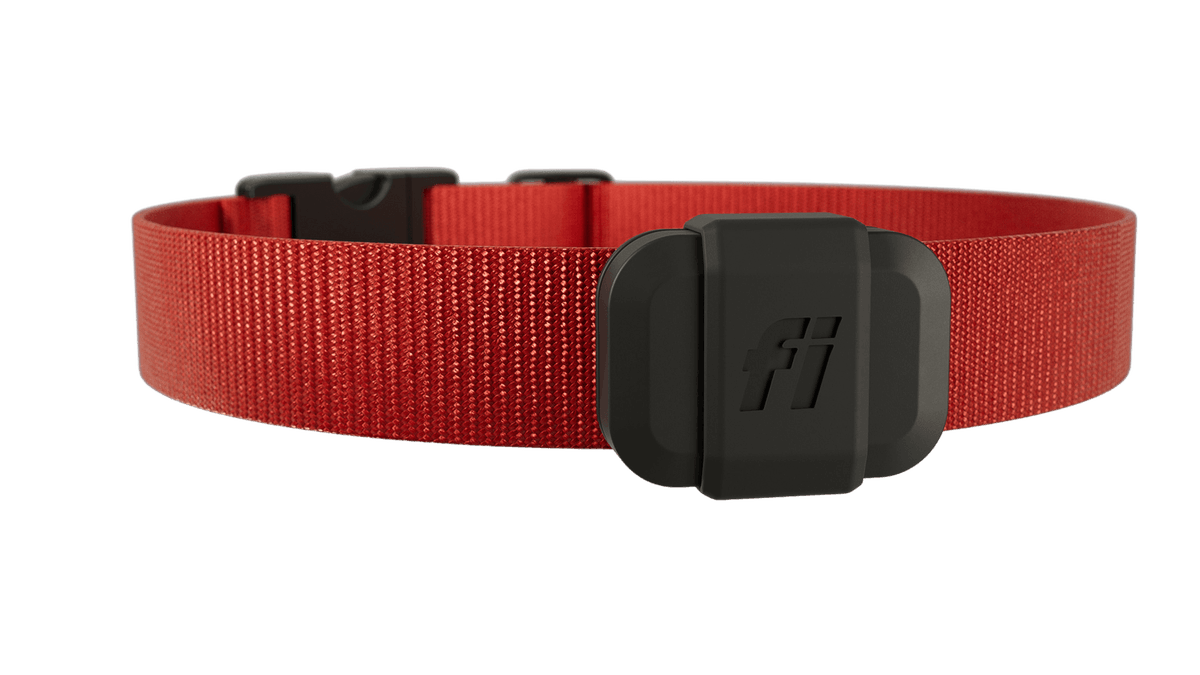 fi_mini_wrap_oncollar - Edited.png