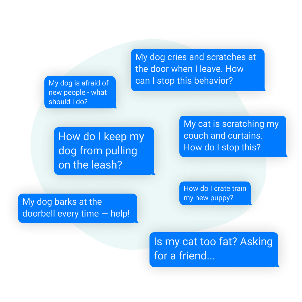 Ask Pets Petcademy Training For Dogs And Cats