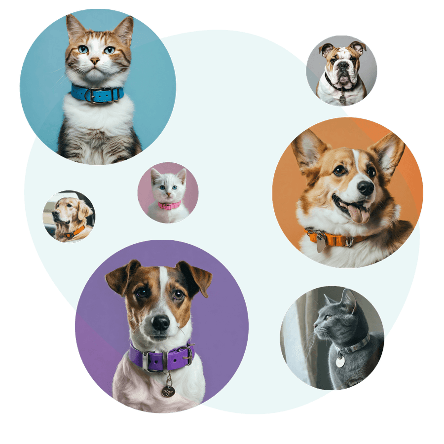 Pictures of animals that have been rescued