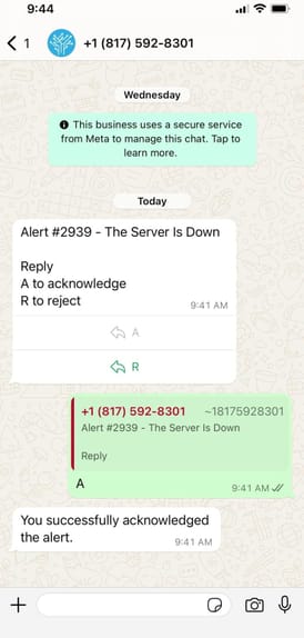 WhatsApp Image 2024-06-03 at 09.44.42_c78a289e.jpg