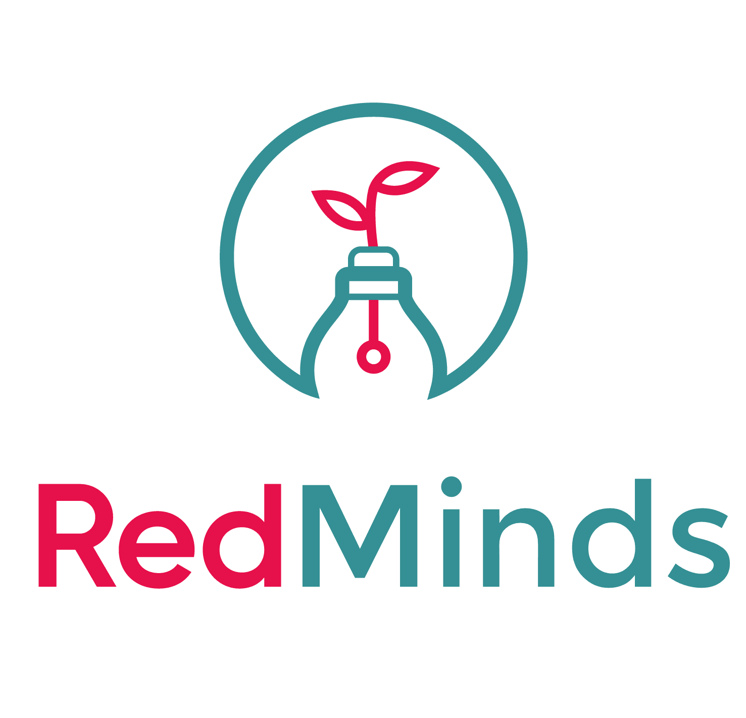Logo RedMinds (2) (1).png