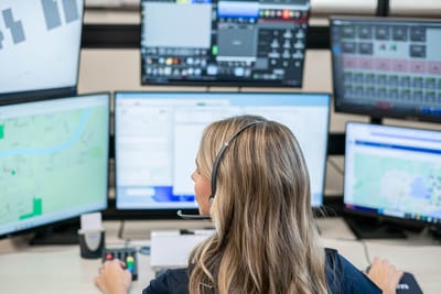 government and emergency.jpg