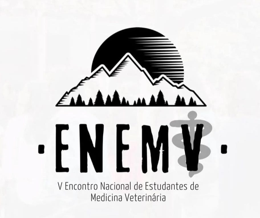 v enemv.jpg