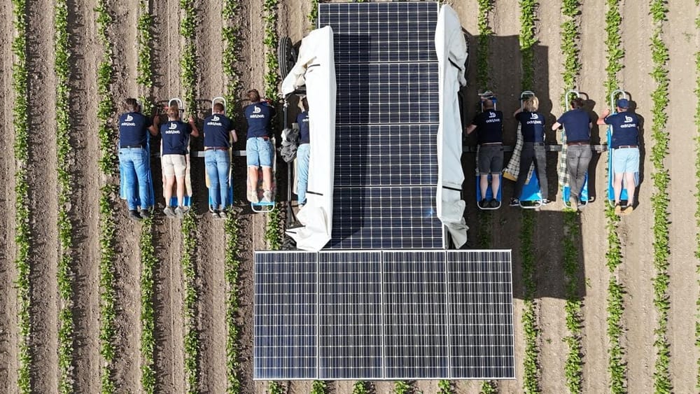 WhatsApp Image 2025-07-05 at 19.47.50 (1).jpeg