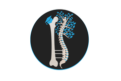 ortho_academy.png