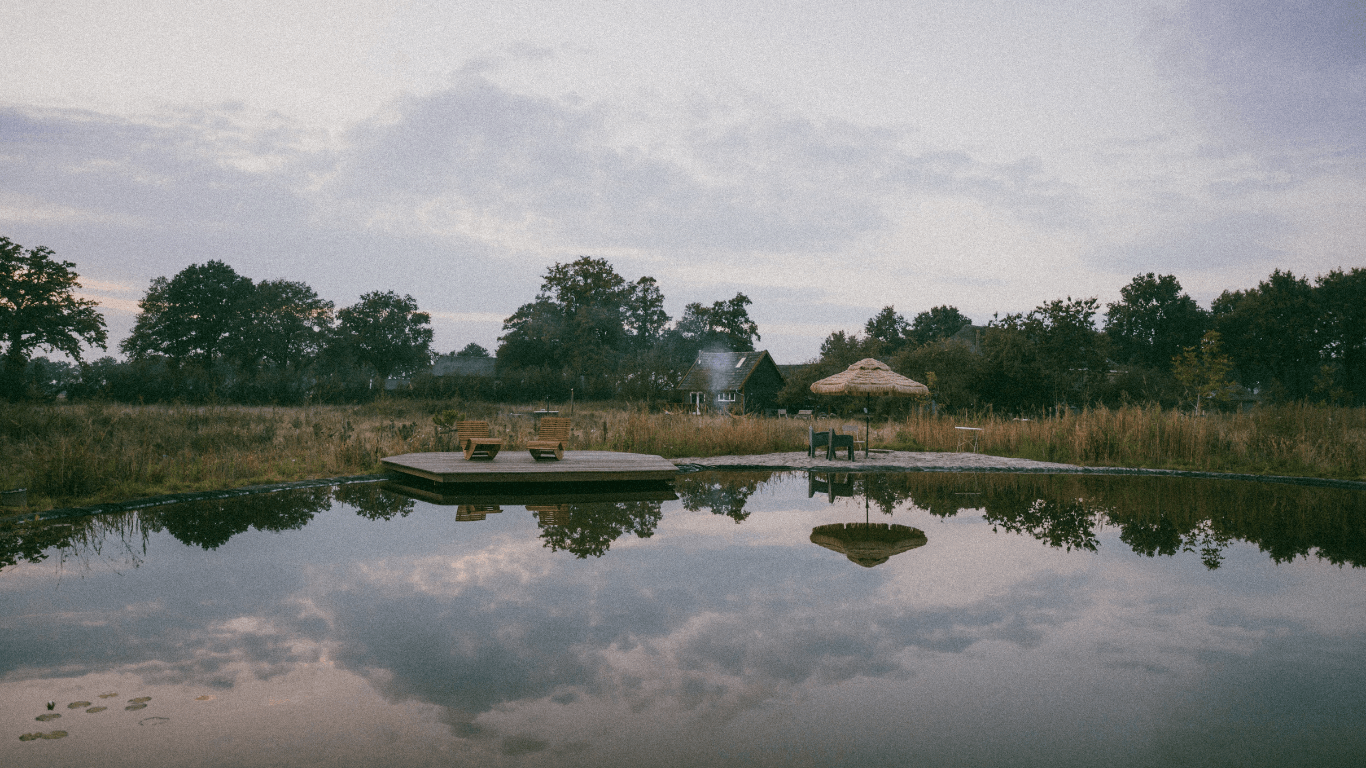 Untitled design (1).png