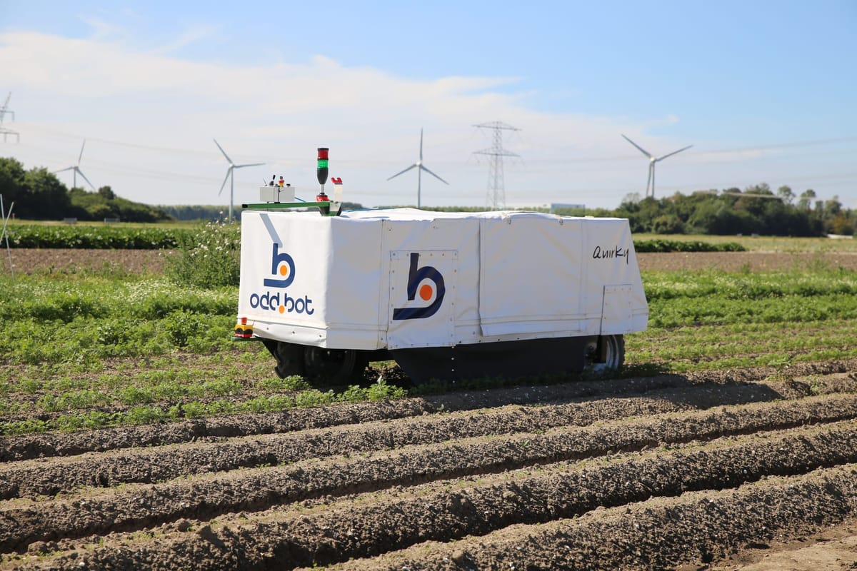 Odd.Bot - Robot on field.JPG