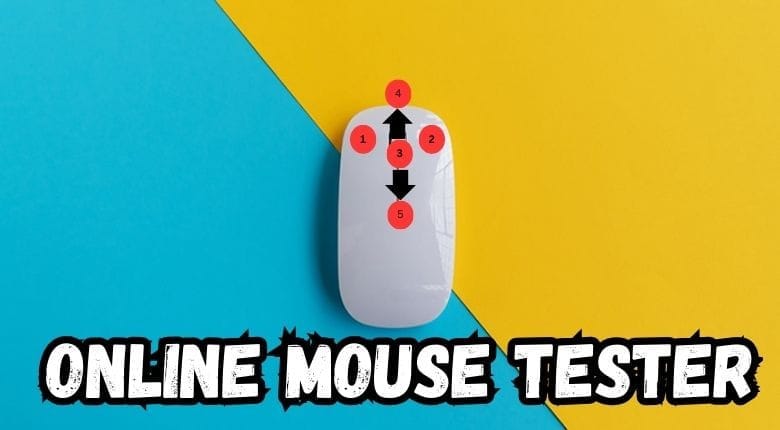 Online Mouse Test.jpg