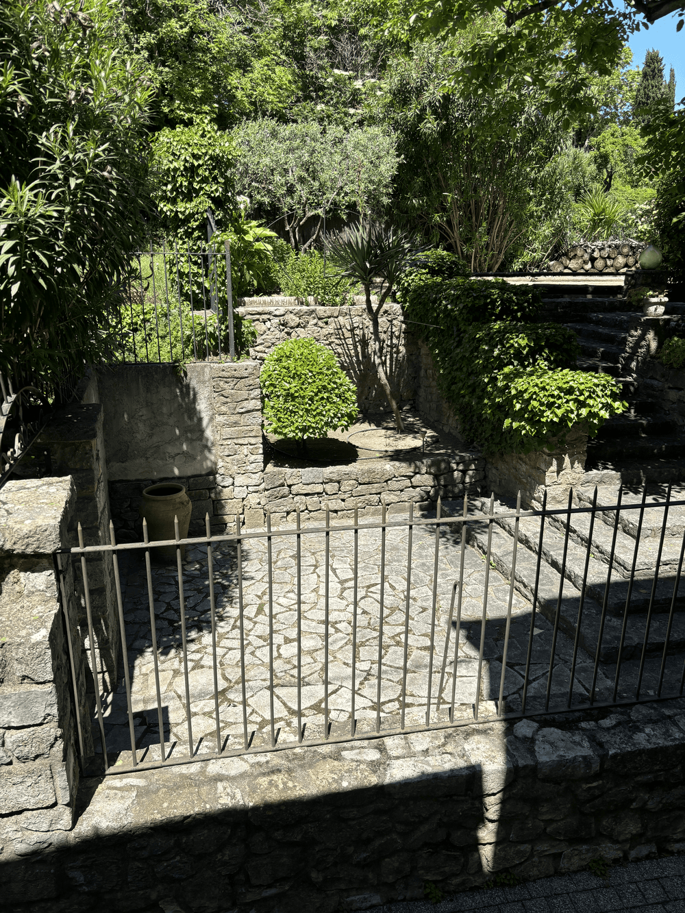 IMG_1295.png