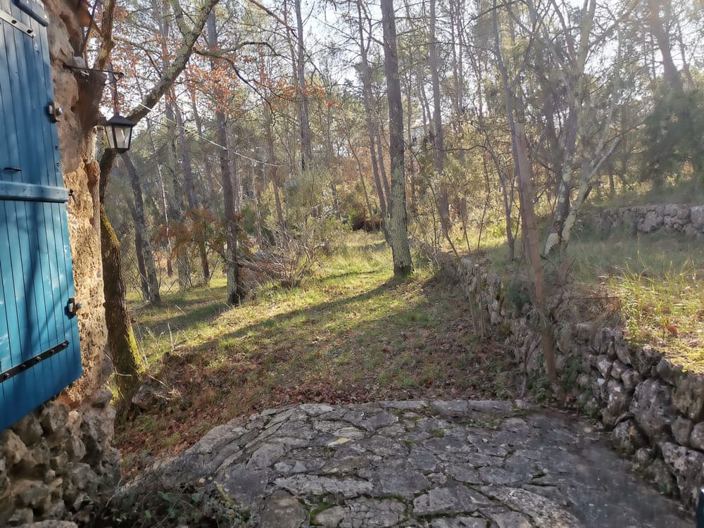 bergerie terrain .jpg