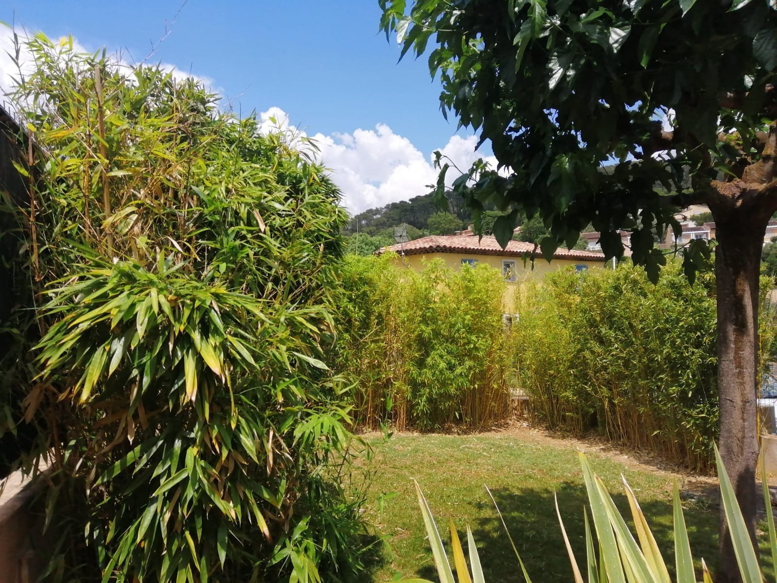 jardinet reyz.jpg